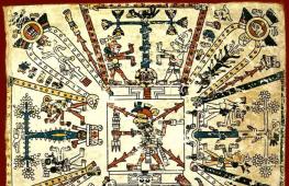 Главные боги майя: существа, на которых держался мир В мире животных